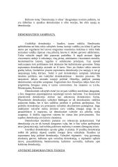Referatas: demokratija ir elitas 10 puslapis