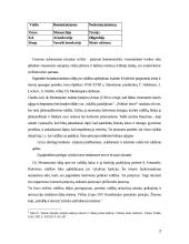 Konstitucionalizmas 2 puslapis