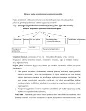 Lietuvos respublikos prezidentas referatas 2 puslapis