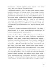 Prezidento rinkimai 2004 m. 11 puslapis