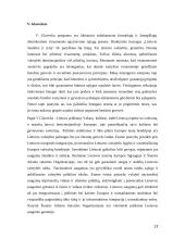 Prezidento rinkimai 2004 m. 13 puslapis