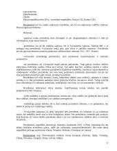 Valstybės formos ir raida sąvokos turinys 11 puslapis