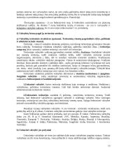 Valstybės formos ir raida sąvokos turinys 13 puslapis