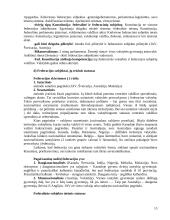 Valstybės formos ir raida sąvokos turinys 15 puslapis