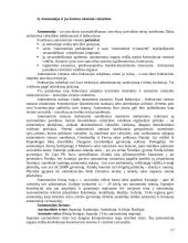 Valstybės formos ir raida sąvokos turinys 17 puslapis