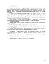 Valstybės formos ir raida sąvokos turinys 18 puslapis