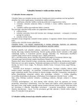 Valstybės formos ir raida sąvokos turinys 4 puslapis