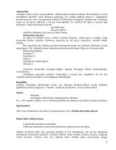 Valstybės formos ir raida sąvokos turinys 8 puslapis