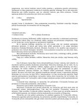 Valstybės formos ir raida sąvokos turinys 9 puslapis