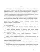 Lobizmo samprata 13 puslapis