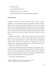 Protokoliniai derybų reikalavimai 11 puslapis