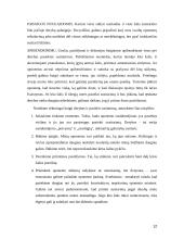 Protokoliniai derybų reikalavimai 12 puslapis