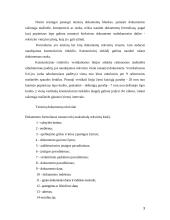 Teisinių  dokumentų rengimo ir įforminimo ypatumai 3 puslapis