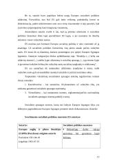 Eurointegracija – Lietuvos socialinės apsaugos raidos veiksnys 13 puslapis
