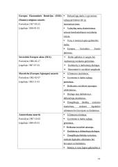 Eurointegracija – Lietuvos socialinės apsaugos raidos veiksnys 14 puslapis