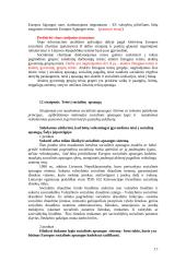 Eurointegracija – Lietuvos socialinės apsaugos raidos veiksnys 17 puslapis