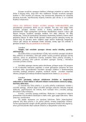 Eurointegracija – Lietuvos socialinės apsaugos raidos veiksnys 18 puslapis