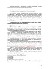 Eurointegracija – Lietuvos socialinės apsaugos raidos veiksnys 19 puslapis