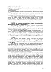 Eurointegracija – Lietuvos socialinės apsaugos raidos veiksnys 20 puslapis