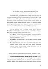 Eurointegracija – Lietuvos socialinės apsaugos raidos veiksnys 3 puslapis