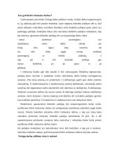 Viešieji darbai 2 puslapis