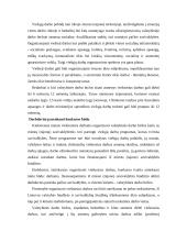 Viešieji darbai 3 puslapis