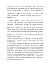 Viešieji darbai 4 puslapis