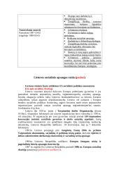 Socialinė apsauga 11 puslapis