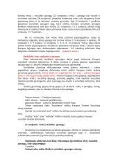 Socialinė apsauga 13 puslapis