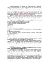 Socialinė apsauga 16 puslapis