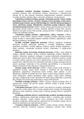 Socialinė apsauga 3 puslapis