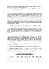 Socialinė apsauga 4 puslapis