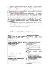 Socialinė apsauga 10 puslapis