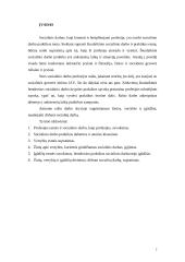 Socialinio darbo principai 2 puslapis