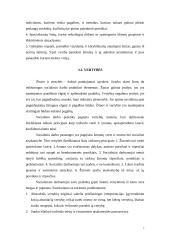 Socialinio darbo principai 7 puslapis