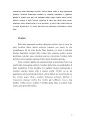 Socialinio darbo principai 9 puslapis