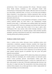 Skurdo problema Lietuvoje ir jos sprendimo būdai 5 puslapis