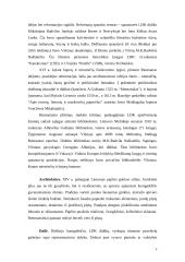 LDK dvaro kultūra 4 puslapis