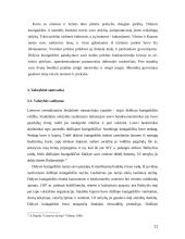 Lietuvos valstybė Mindaugo laikais 11 puslapis