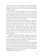 Lietuvos valstybė Mindaugo laikais 14 puslapis