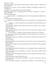 Lietuvos valstybės ir teisės teorijos konspektas 11 puslapis