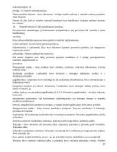 Lietuvos valstybės ir teisės teorijos konspektas 12 puslapis