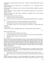 Lietuvos valstybės ir teisės teorijos konspektas 17 puslapis