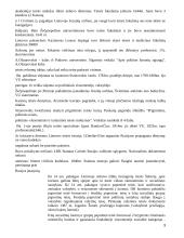 Lietuvos valstybės ir teisės teorijos konspektas 3 puslapis