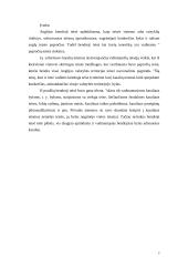 Anglijos bendroji, teisingumo ir statutinė teisė 3 puslapis