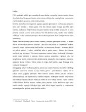 Santuoka romėnų teisėje 2 puslapis