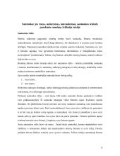 Santuoka romėnų teisėje 3 puslapis