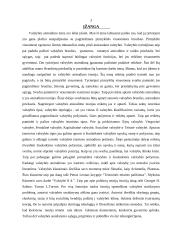 Valstybės atsiradimo priežastys 3 puslapis