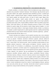 Valstybės atsiradimo priežastys 4 puslapis