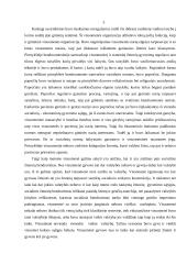 Valstybės atsiradimo priežastys 5 puslapis